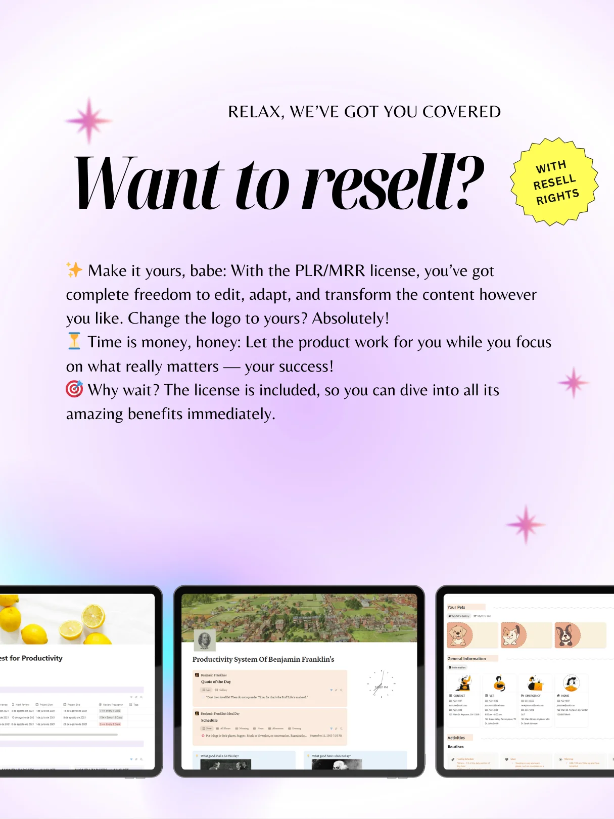 190 Notion PLR Templates & Planners Bundle | PLR Products, Plr Mrr, Master Resell Rights product image (11)