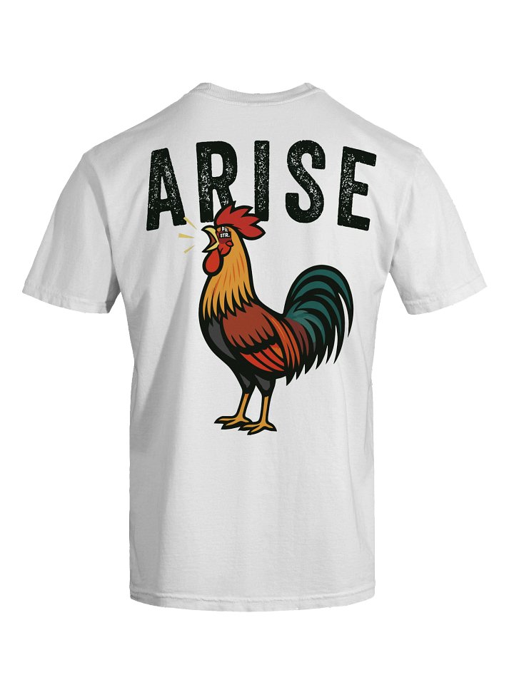 ARISE TEE product image (14)