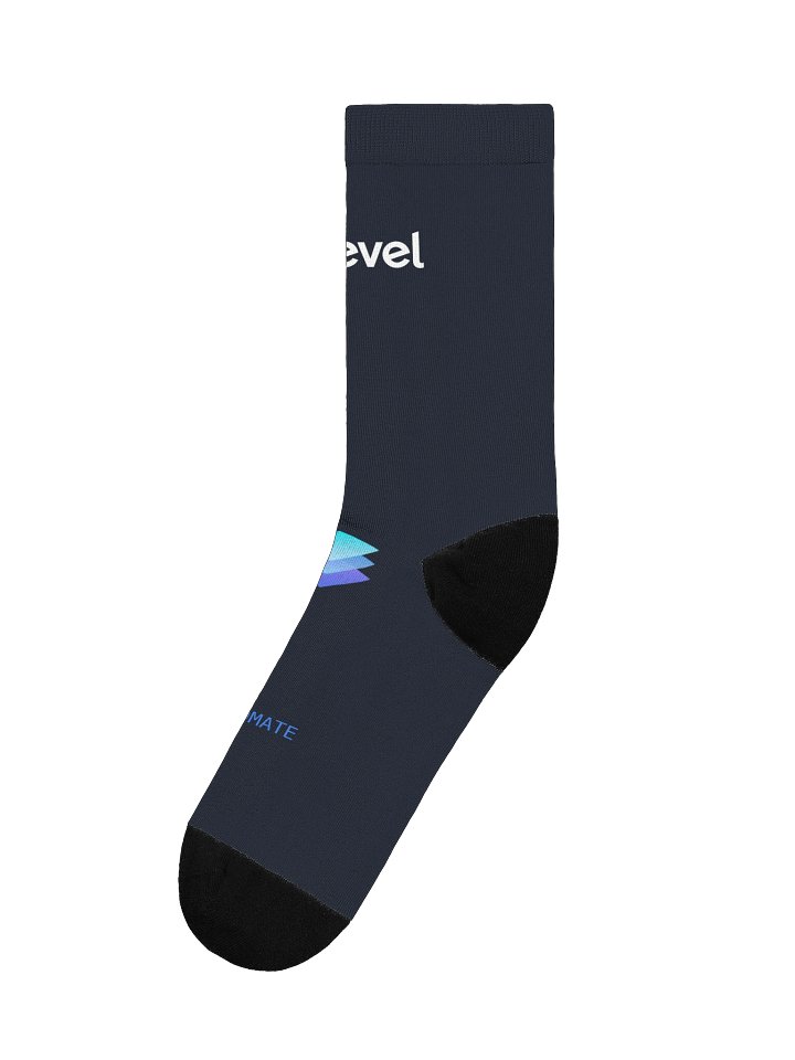 Level Socks product image (1)
