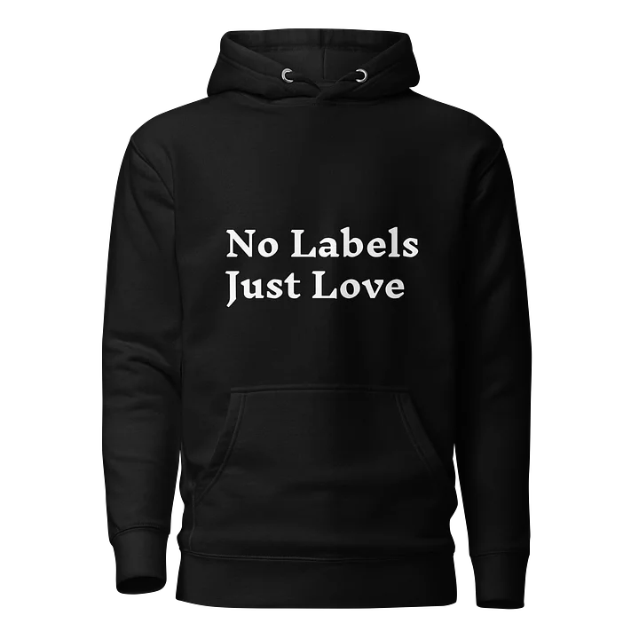 No Labels Just Love Premium Hoodie product image (1)