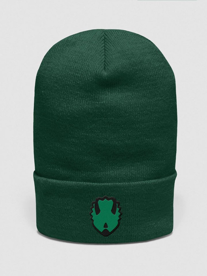 Touque/Winter Hat Green product image (1)