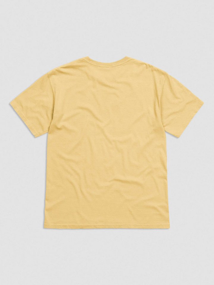sneaky ⟡ embroidered tee [9 colors] product image (2)