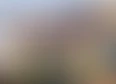 website exclusive's tag thumbnail