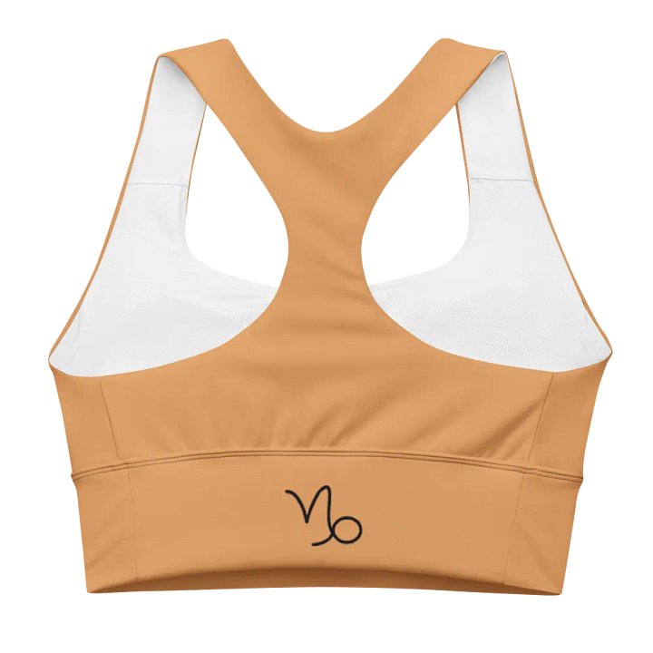 Capricorn Hues Recycled Longline Sports Bra product image (2)