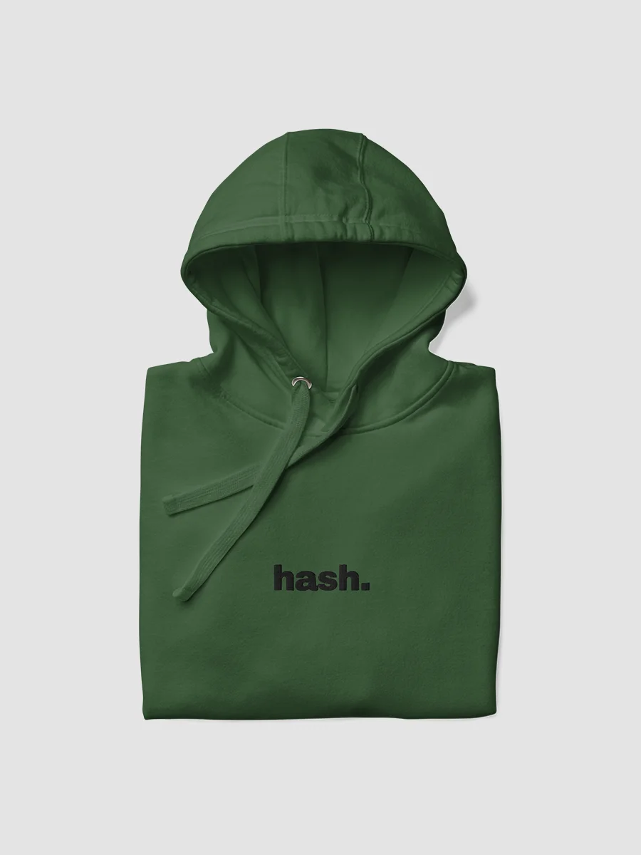 autumn '24 "hash" hoodie product image (6)