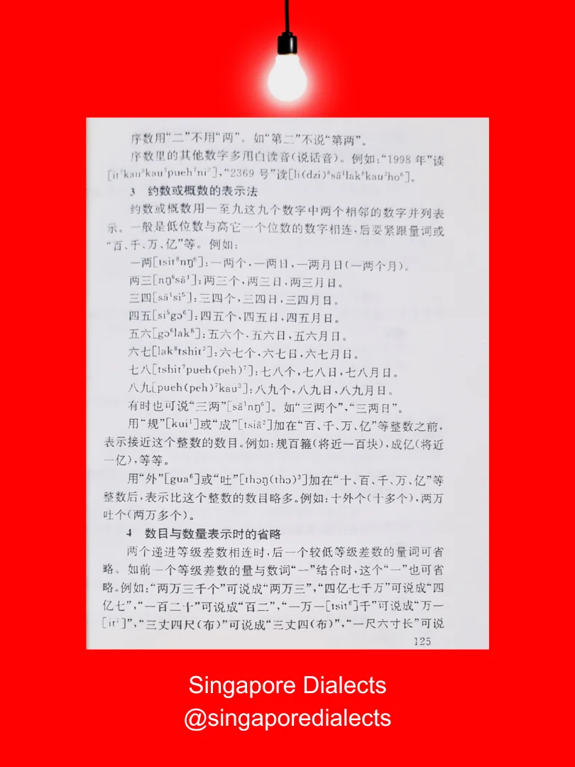 A Survey of Singaporean Hokkien 新加坡闽南话概说 product image (3)