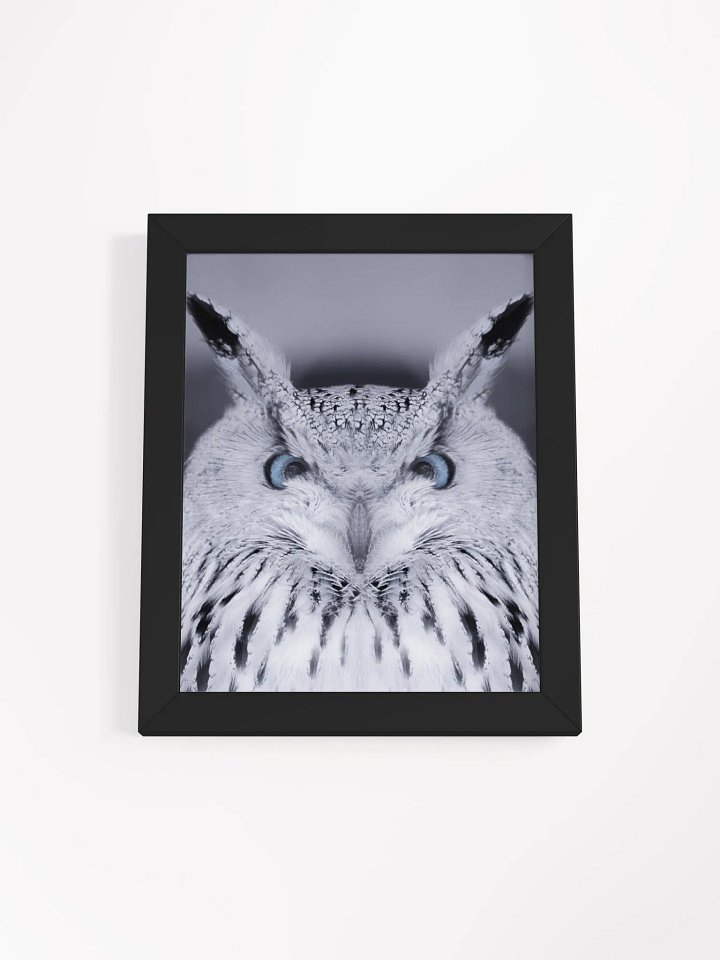 Symmetrical Owl Wisdom Framed Poster product image (10)