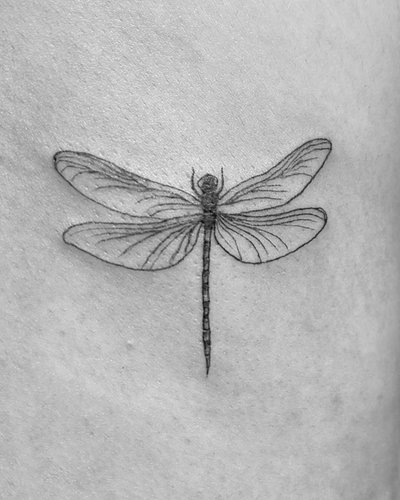 The dragonfly is a symbol of change, adaptability, and self-realization.
.
#DragonflyTattoo #FineLineTattoo #Auburn #Opelika ...