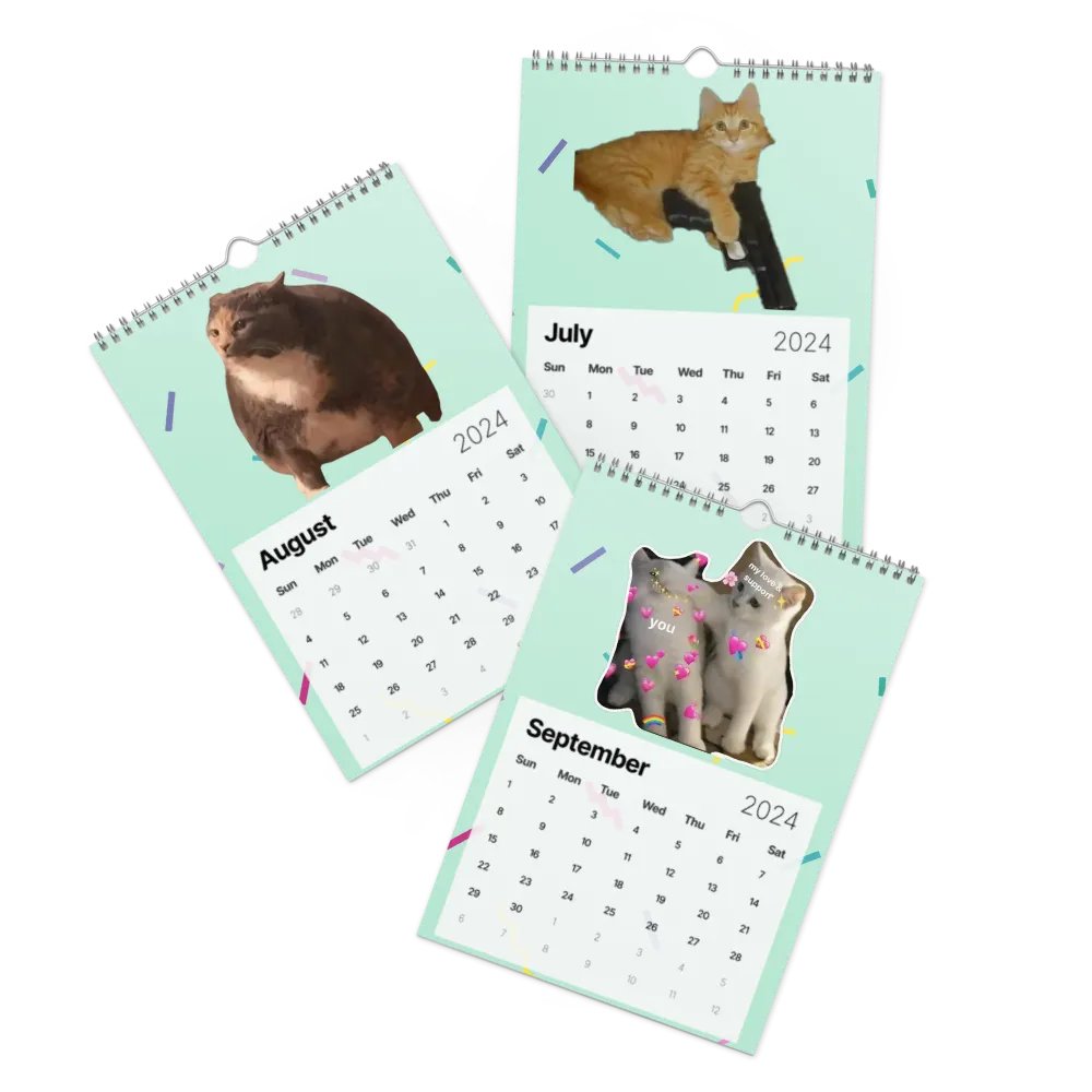 Wall Calendar (2024): Meme Cats product image (11)