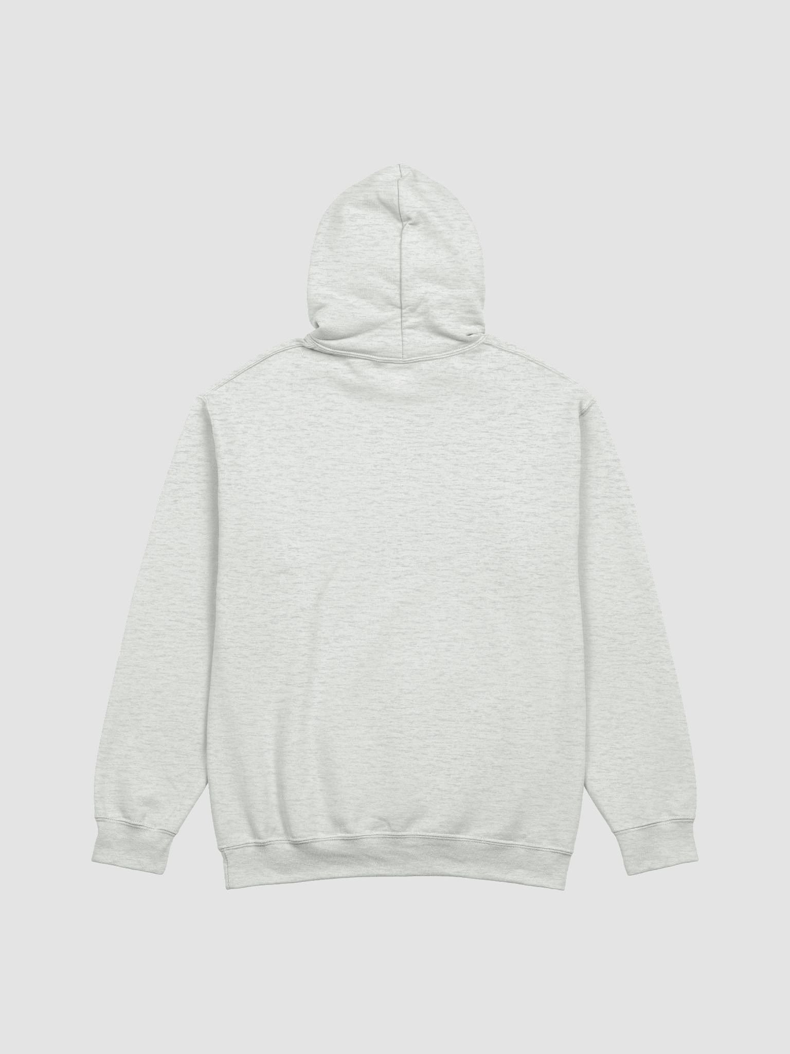 Dream Big! Colorful Classic Hoodie product image (25)