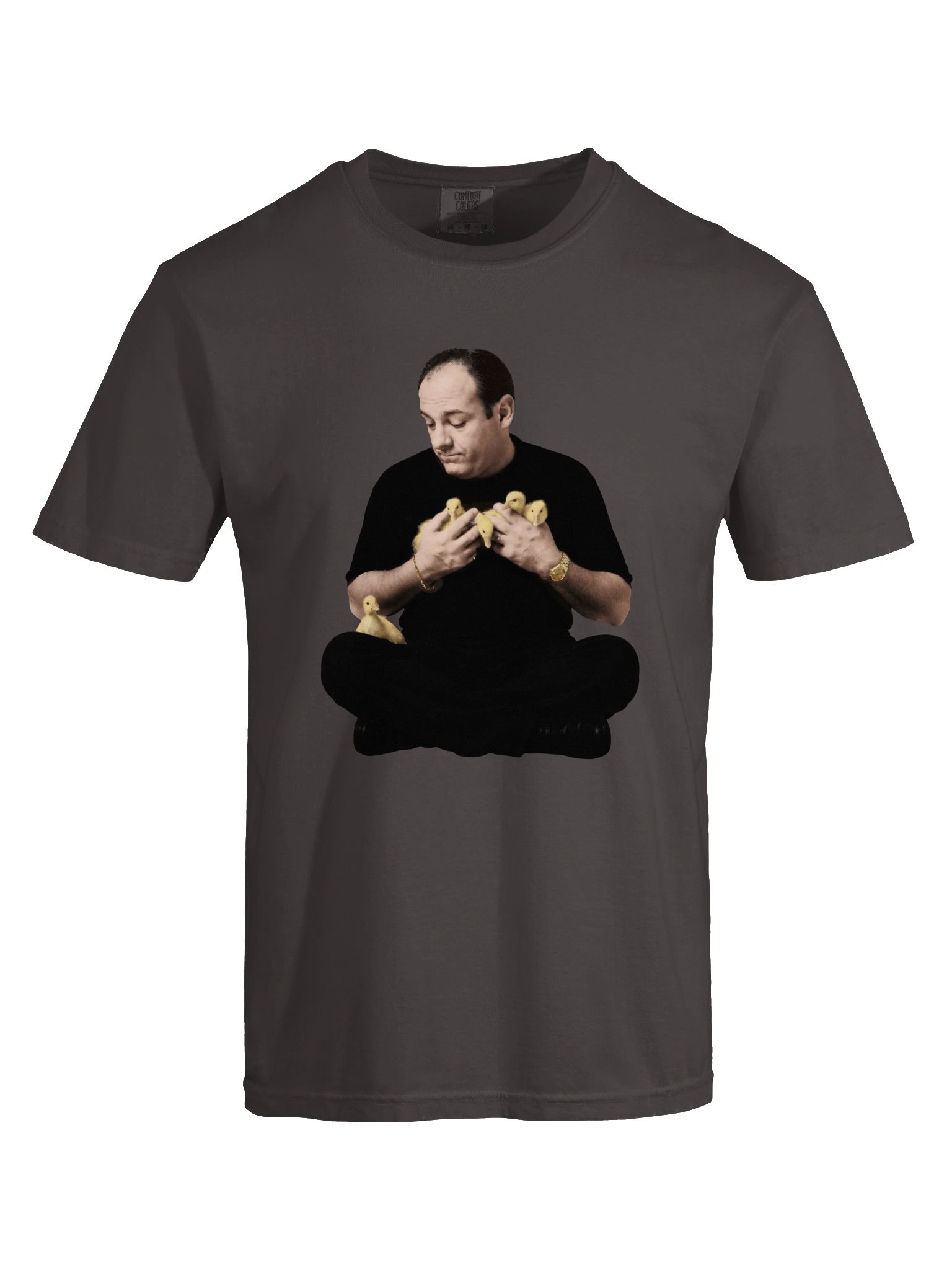 Tony & the Ducks — Heavyweight T-Shirt product image (88)