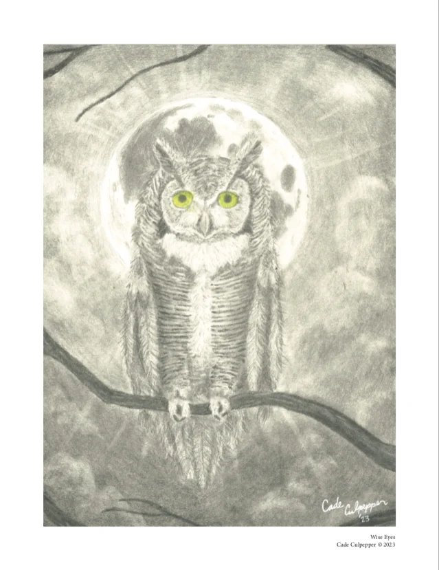 “Wise Eyes” Print product image (1)