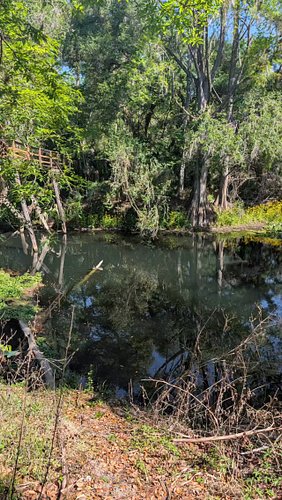 Spent a beautiful day at Hillsborough River State Park today 🥰🌳🌱

#naturephotography #naturelovers #naturephoto #hillsborough...