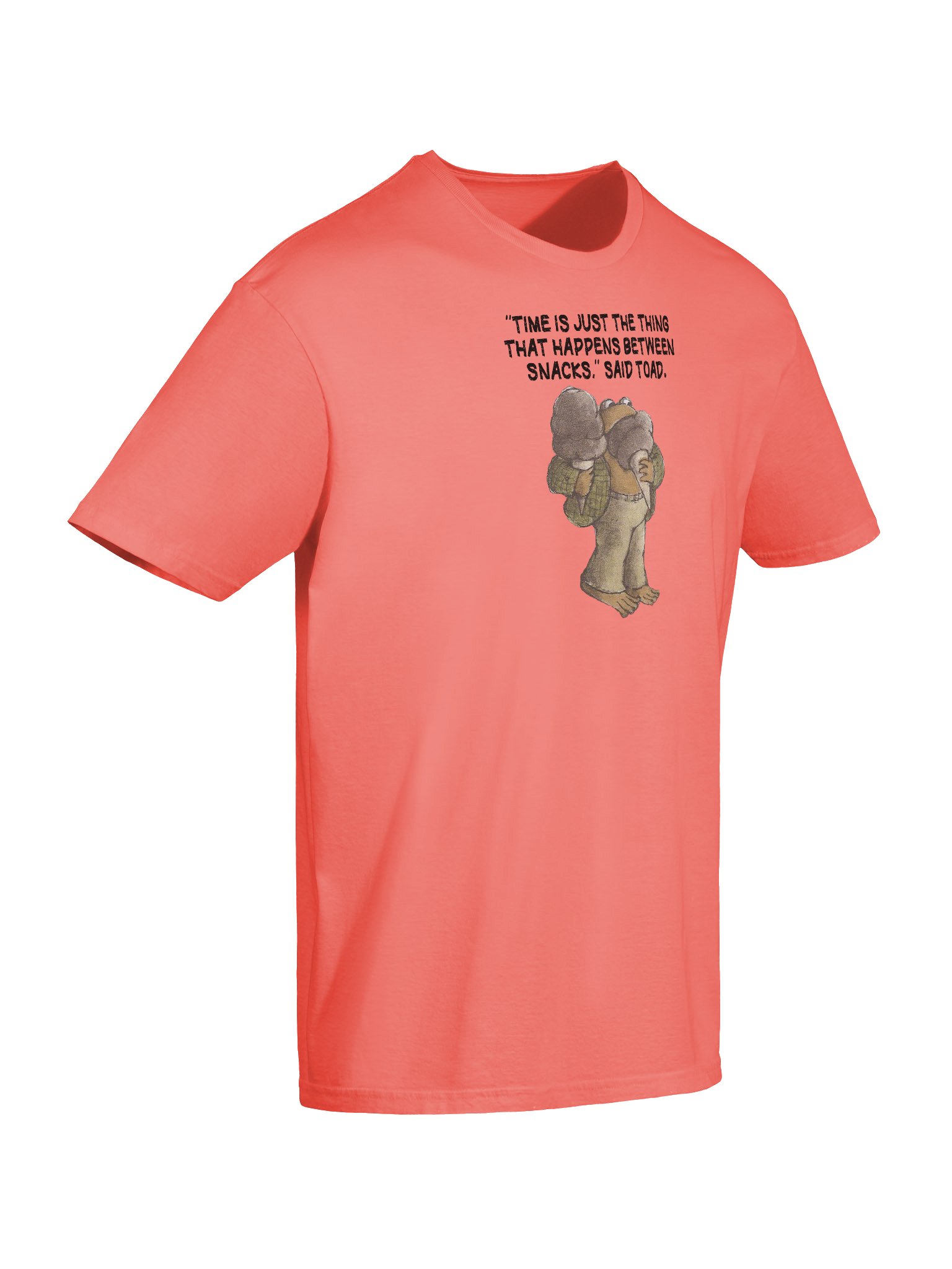 Frog and Toad Ice Cream T-Shirt product image (11)