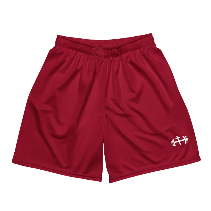 His House Mens Performance Mesh Shorts - Red product image (2)