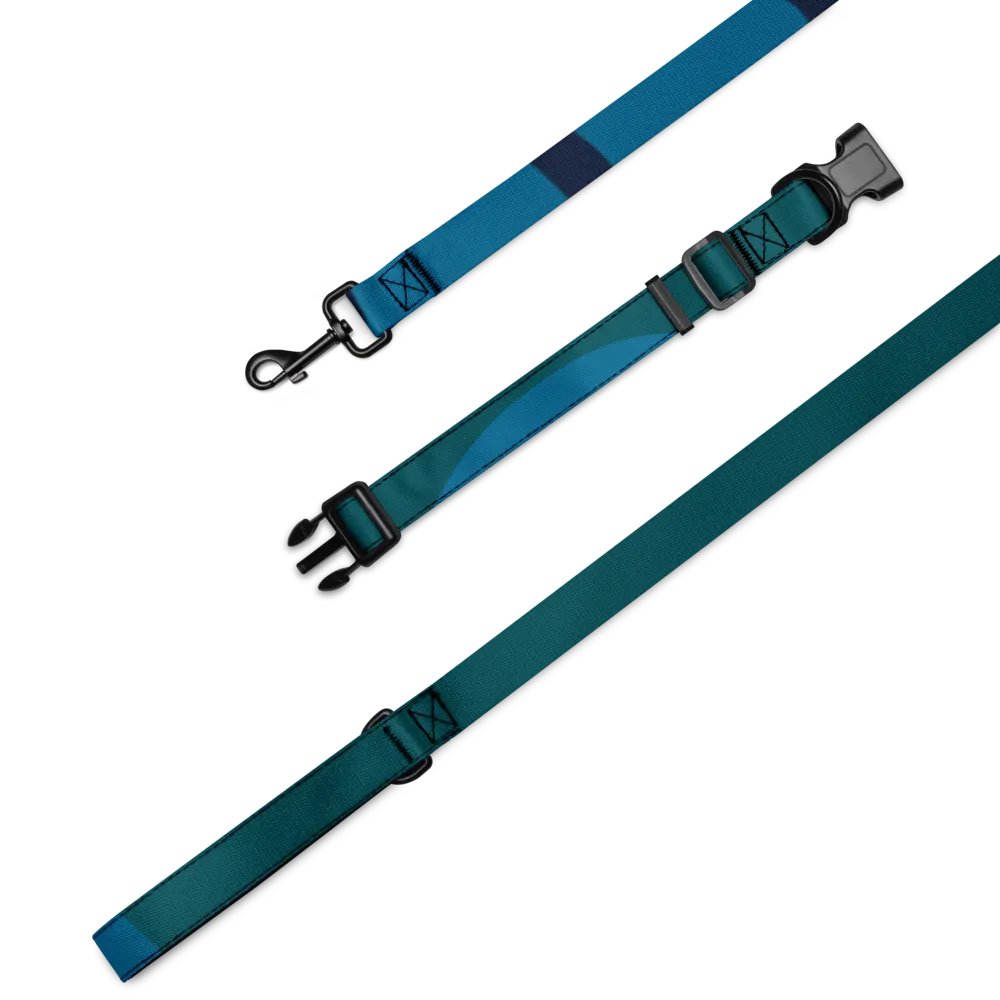 Mystic Blur Pet Collar & Leash Set product image (4)