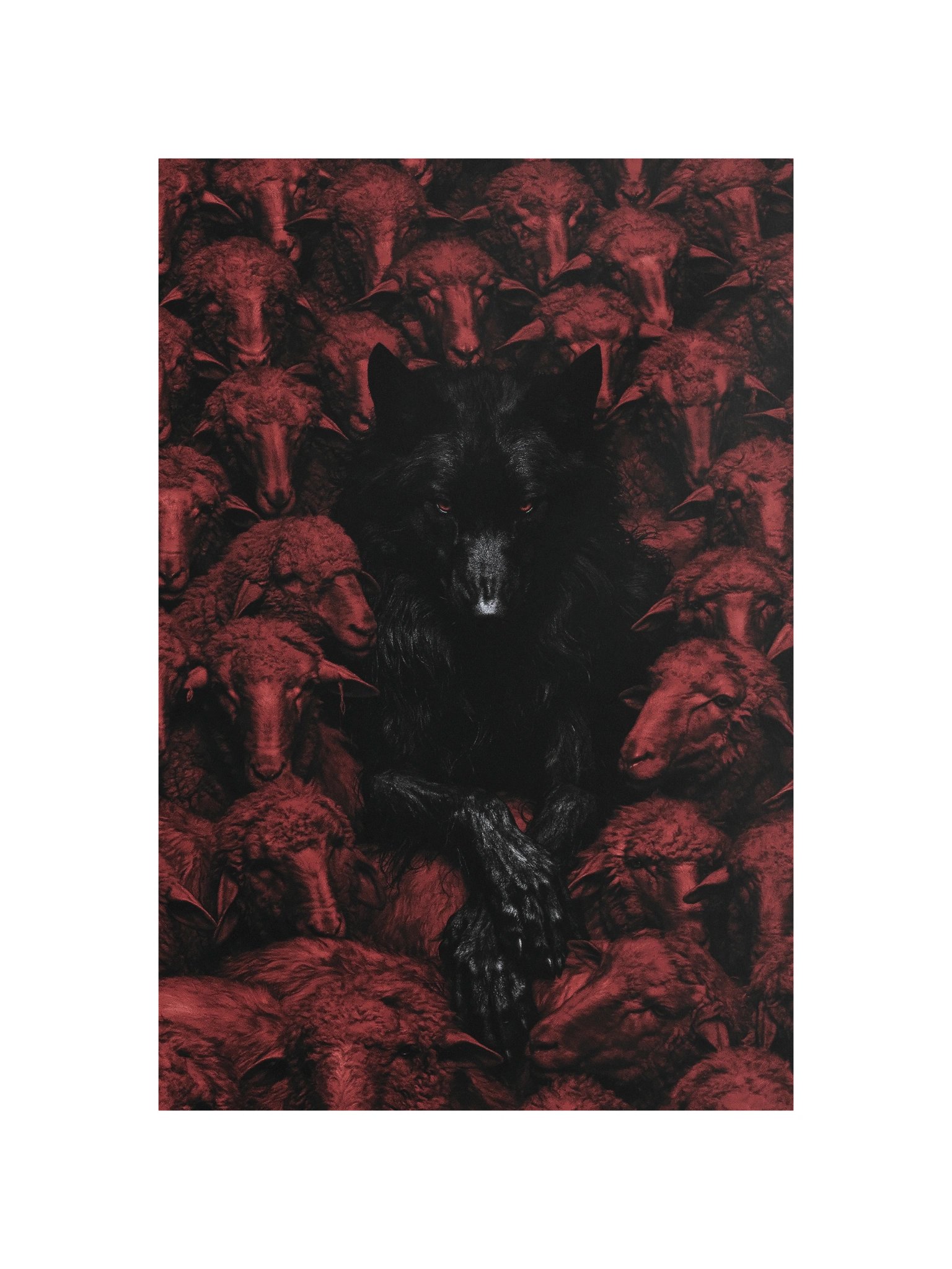 Wolf in the Flock product image (11)