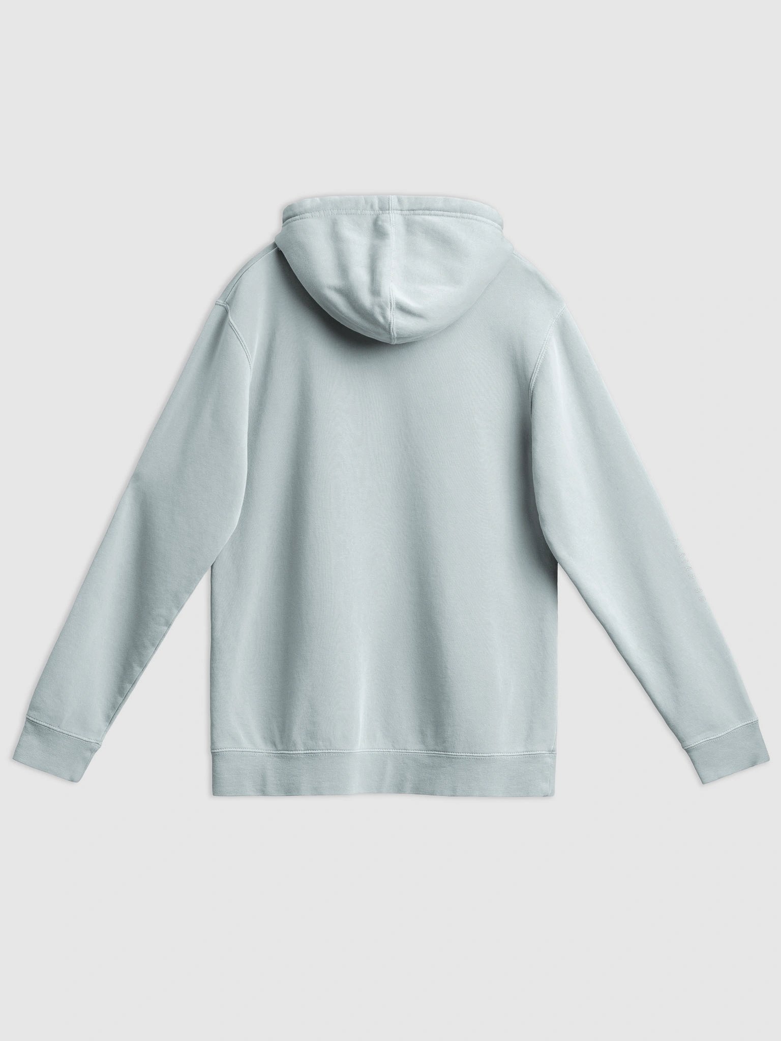 'Delusional Faith' - Heavyweight Pigment Hoodie product image (10)