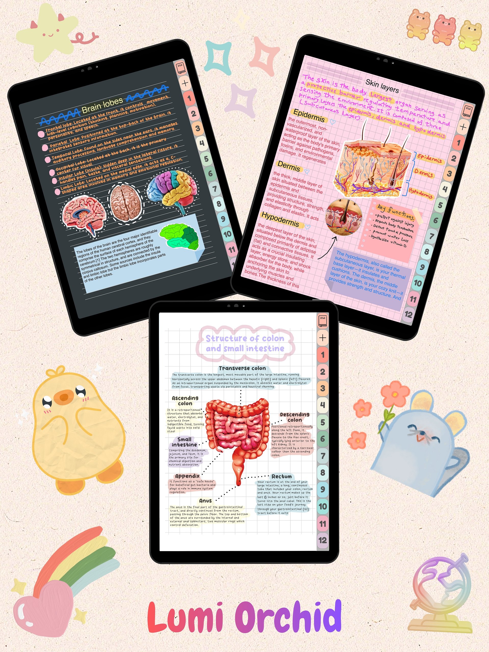 Digital Notebooks Bundle product image (2)
