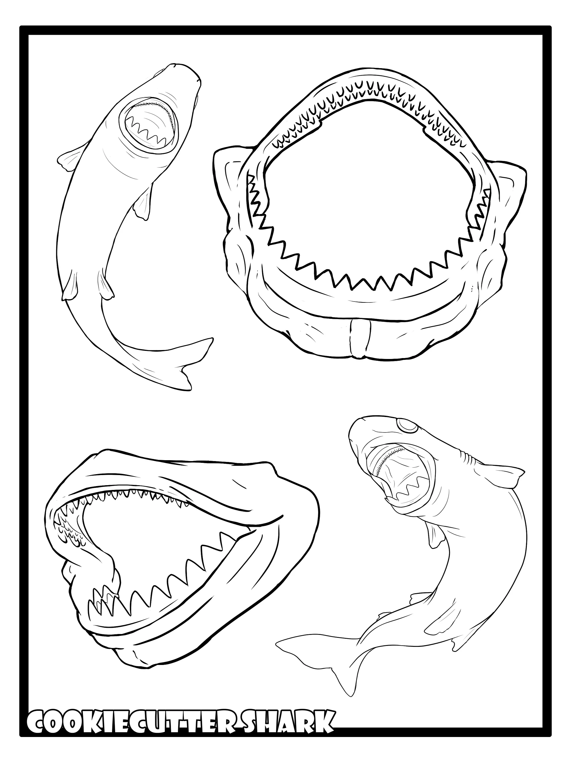 Cookiecutter Shark Coloring pages product image (4)