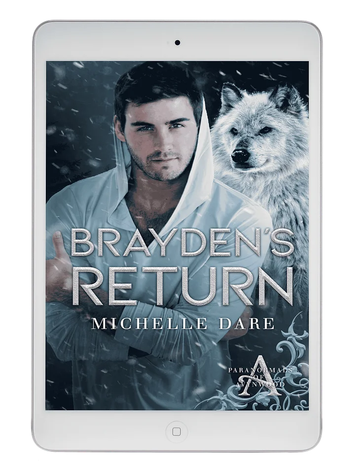 Brayden's Return product image (1)