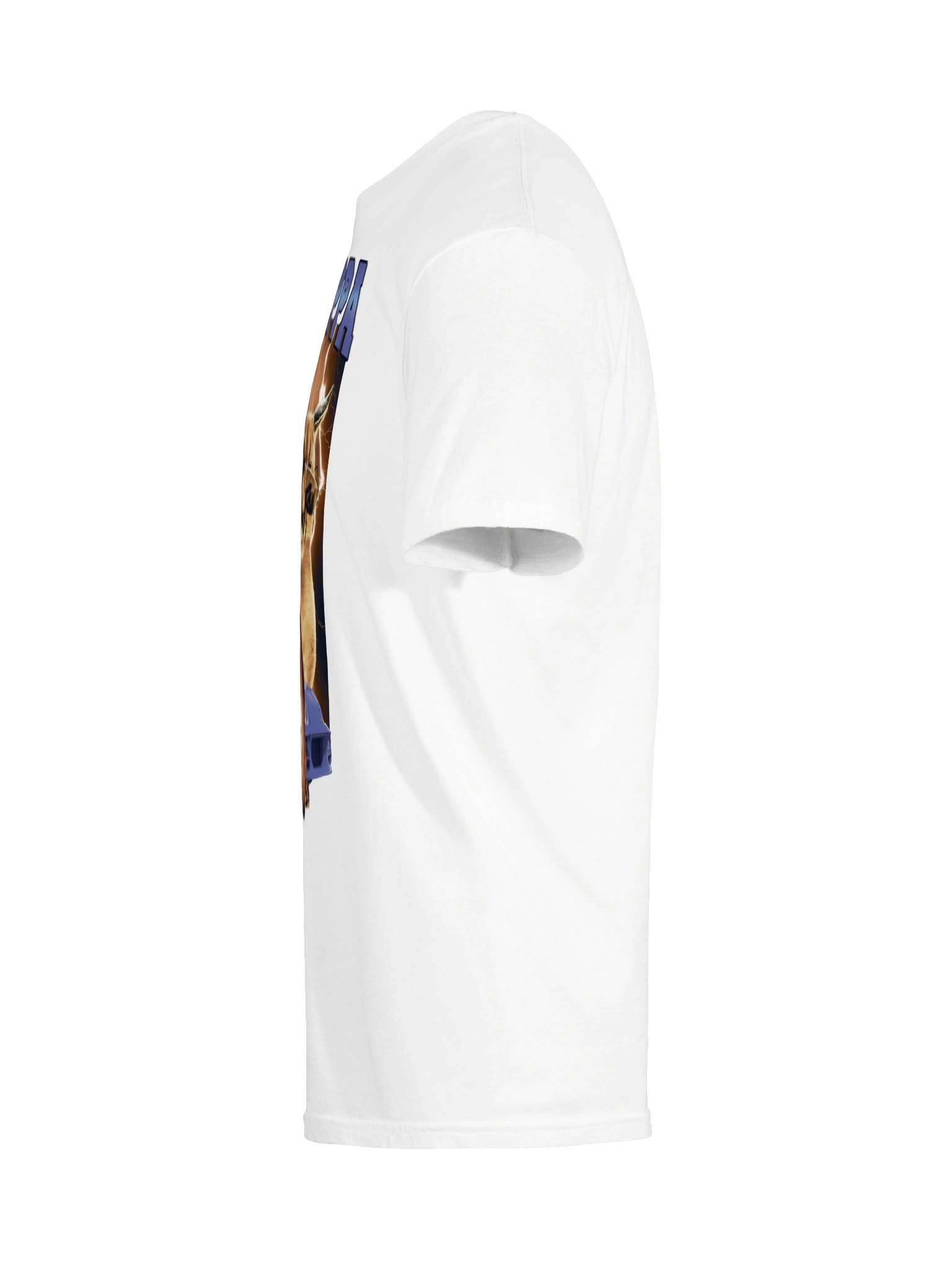 Big Floppa Gosha "Vintage" Rap T-Shirt product image (43)