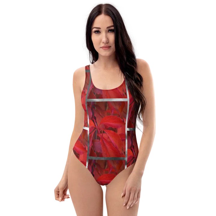 Swimsuit: Vildvin Red Dreams product image (1)