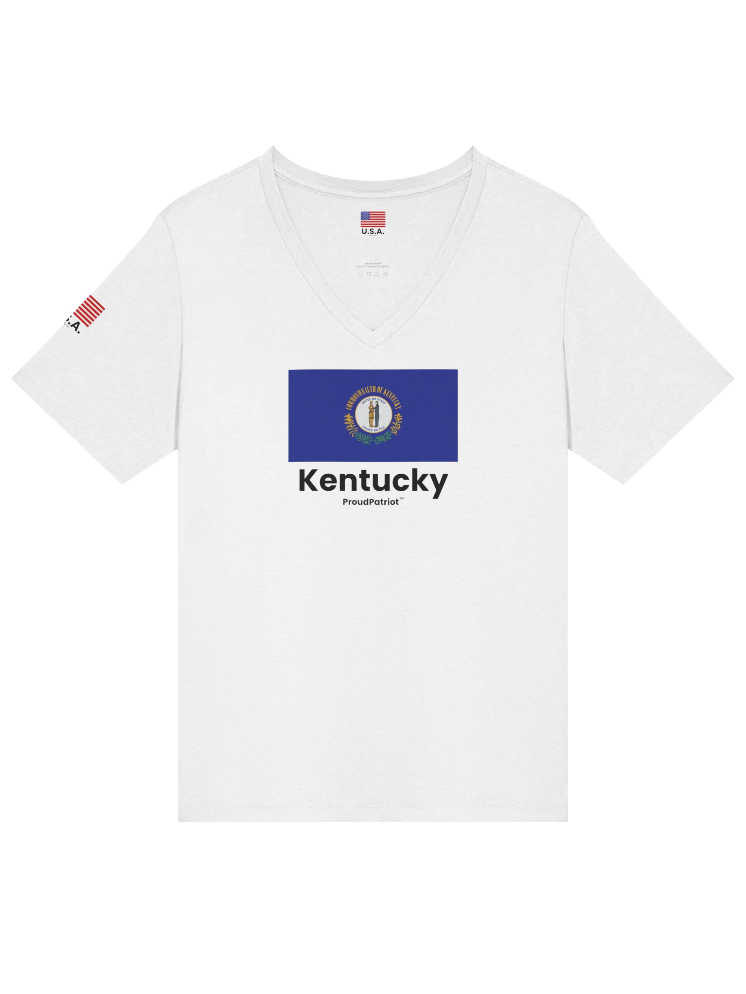 Kentucky Women's Relaxed V-Neck T-Shirt product image (9)