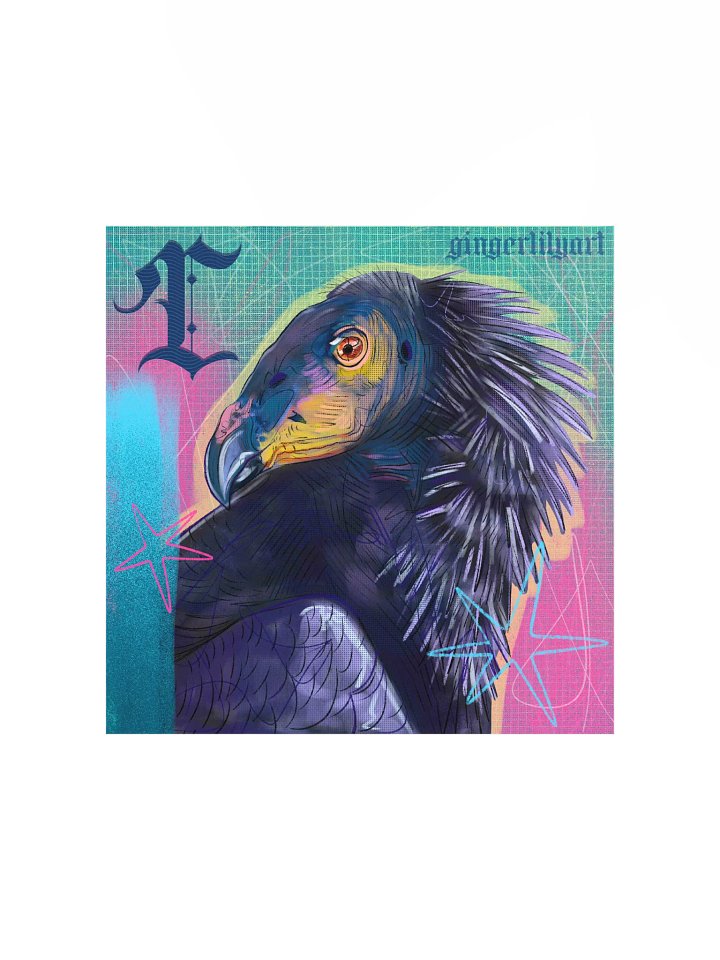 california condor print product image (2)