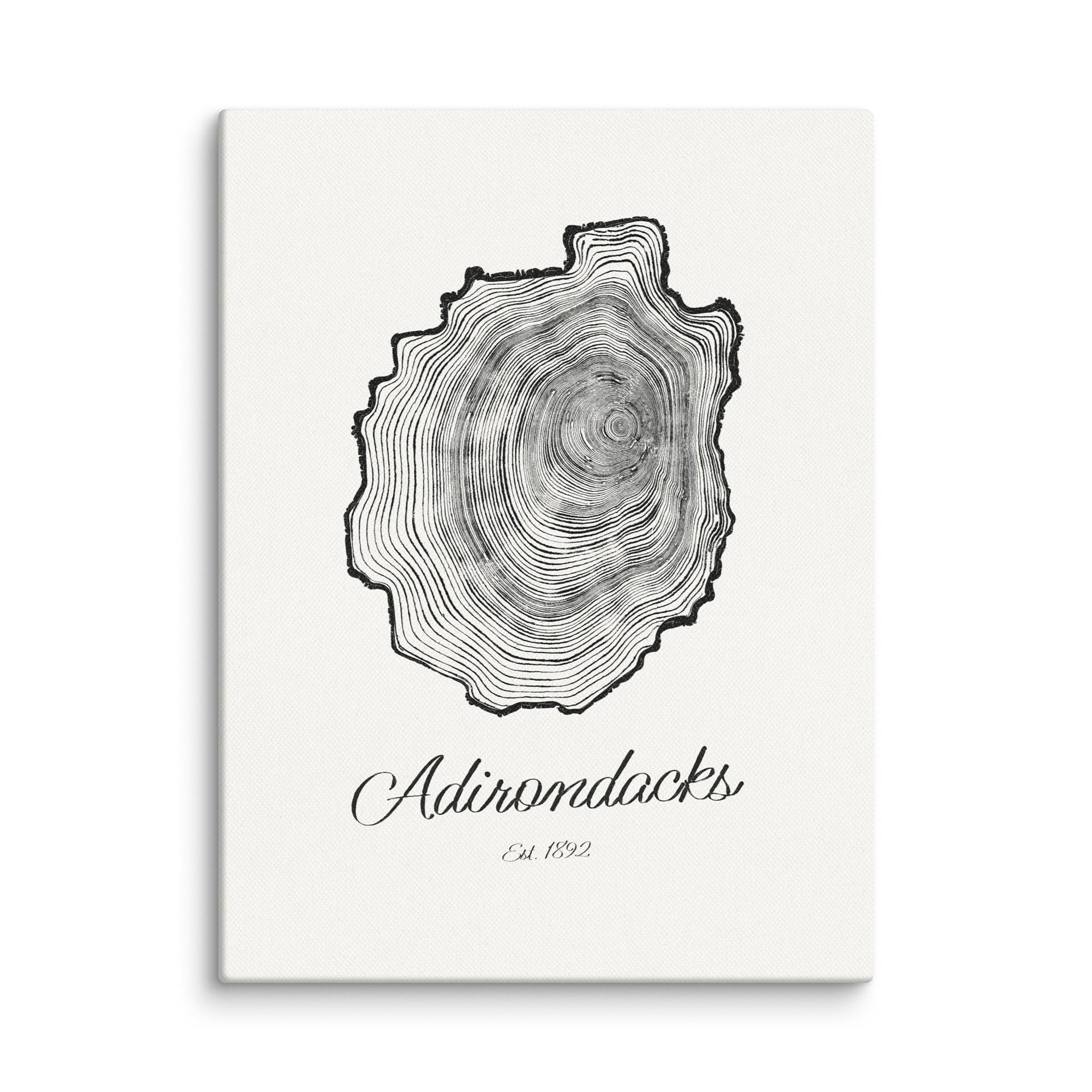 Adirondack Park Tree Ring Canvas Print product image (1)