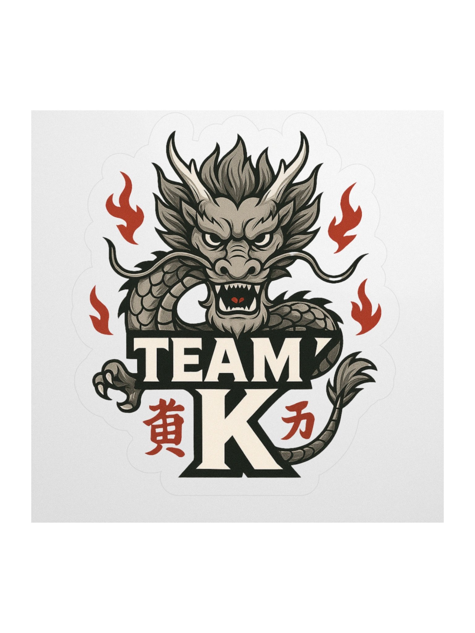 Team K China STICKERS product image (1)