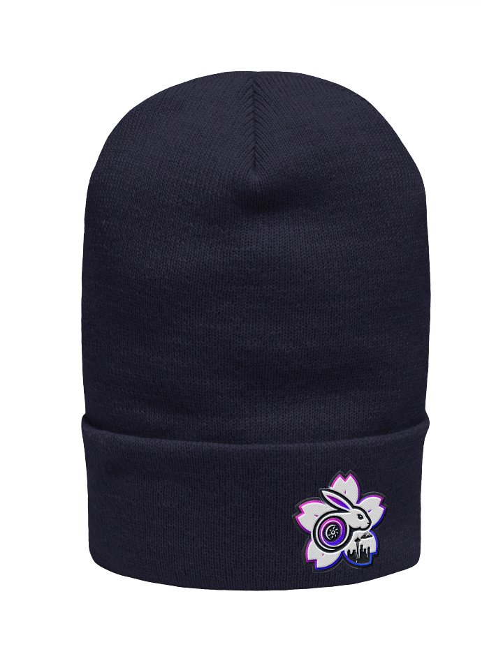 Boosted Bunny™ Seattle Vibes Beanie product image (1)