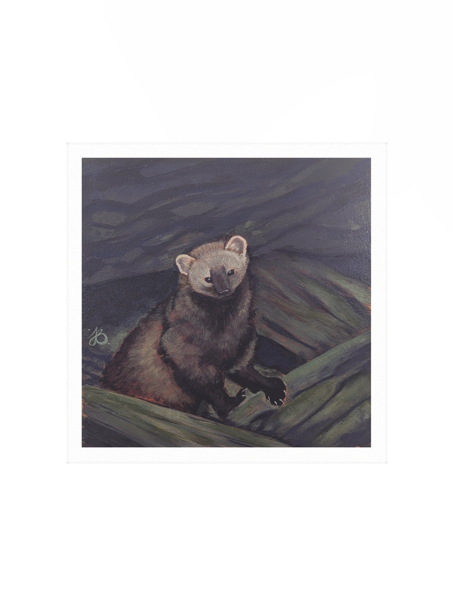 Shy Fisher Cat — Premium Matte Poster product image (1)