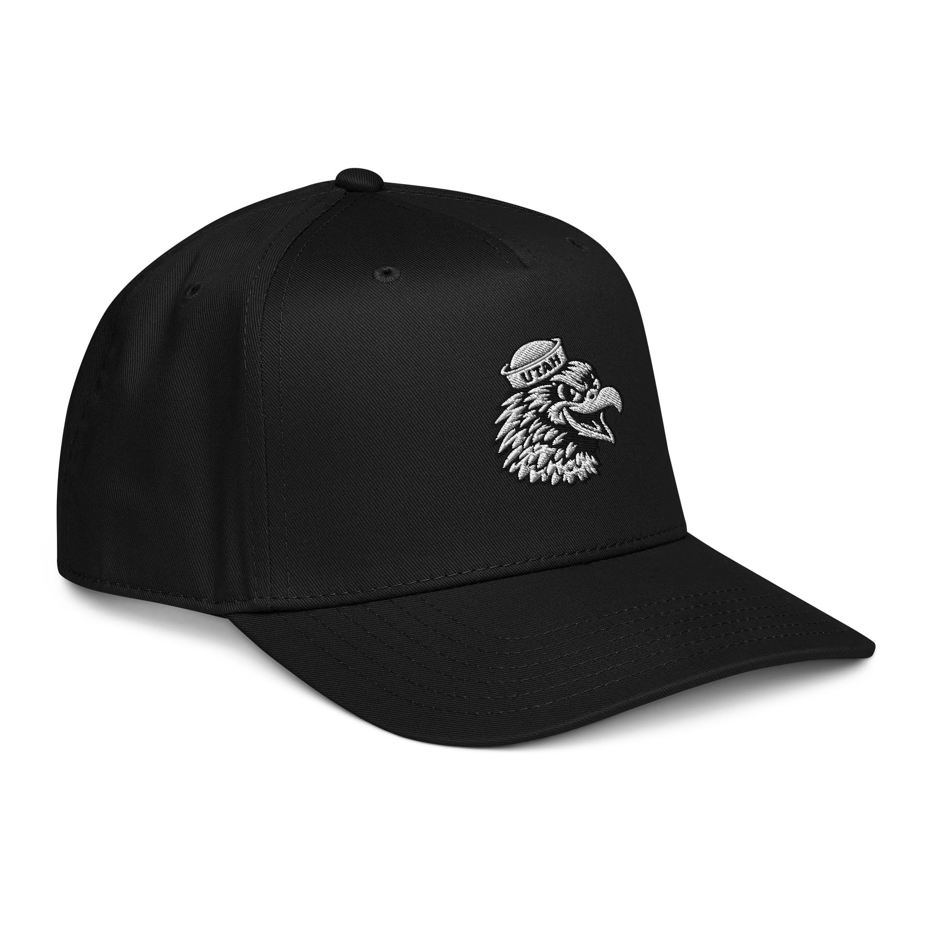 Collegiate Red Tailed Hawk Cap (Blackout) product image (4)