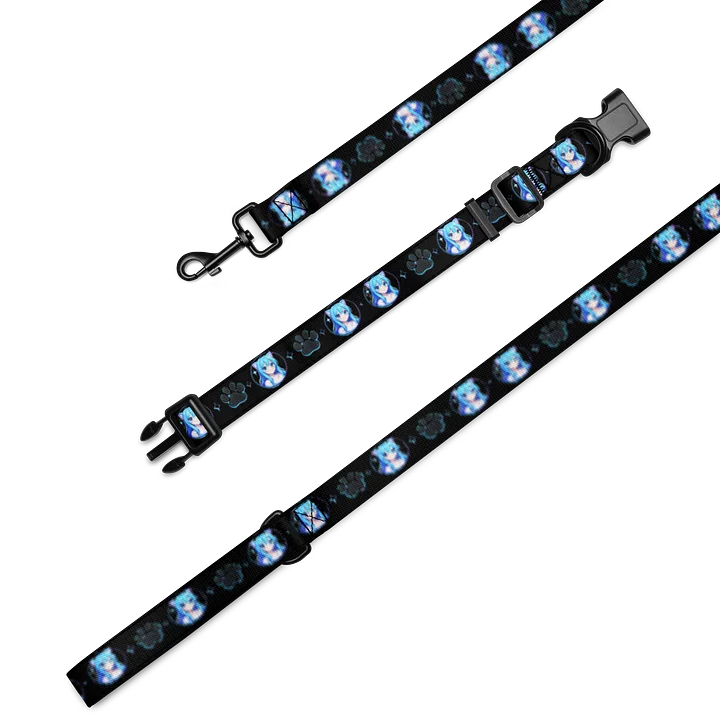 • AKC // Callieach Collar & Leash Set | Arkfall Kitty Collective product image (2)