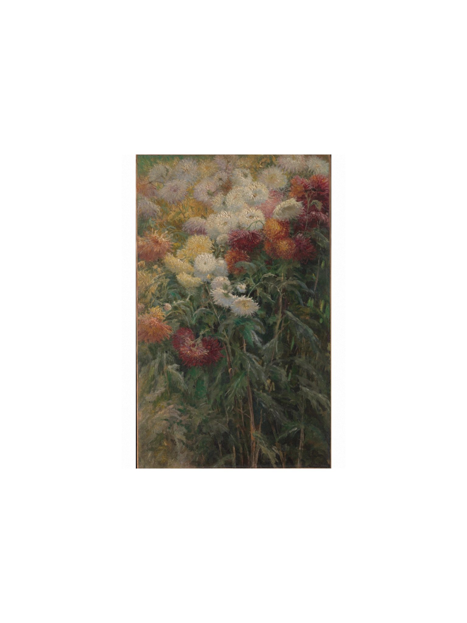 Caillebotte, Chrysanthemums in the Garden at Petit-Gennevilliers — Fine-Art Poster product image (3)