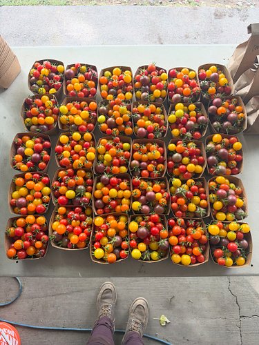 Last Surprise Valley Farmers Market tomorrow in Cedarville 9-noon. We will have blackberries, tomatoes, peppers, cucumbers, s...