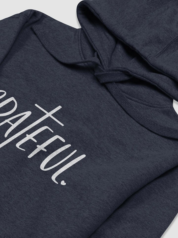 Grateful Cozy Warm Heavyweight Unisex Hoodie product image (2)