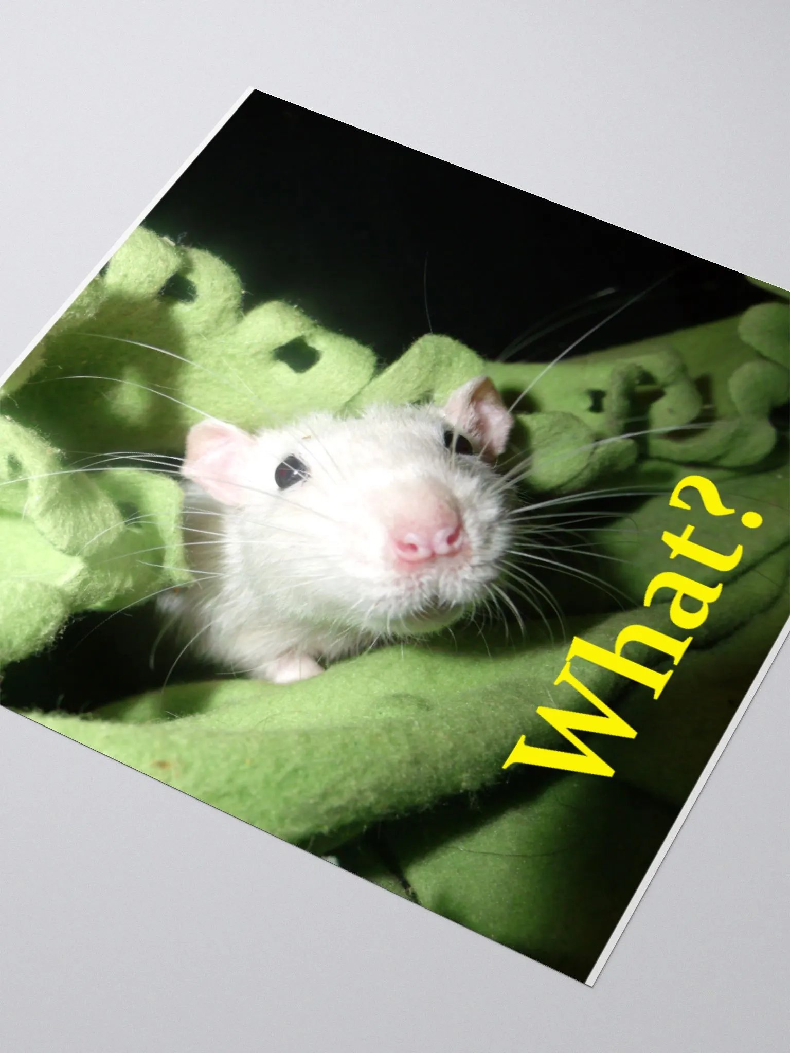 What? sticker product image (7)