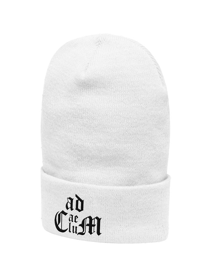 Generic Logo Beanie (Black Logo) product image (2)