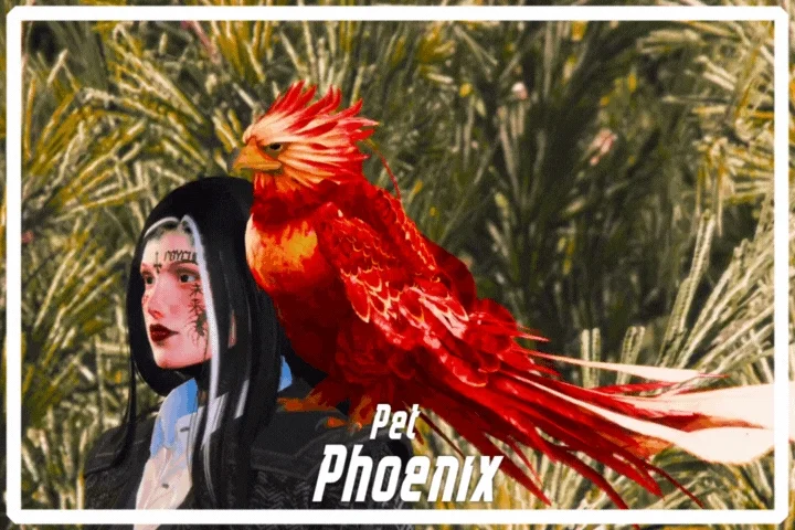 Phoenix PET [ QB / ESX / QBOX ] product image (1)