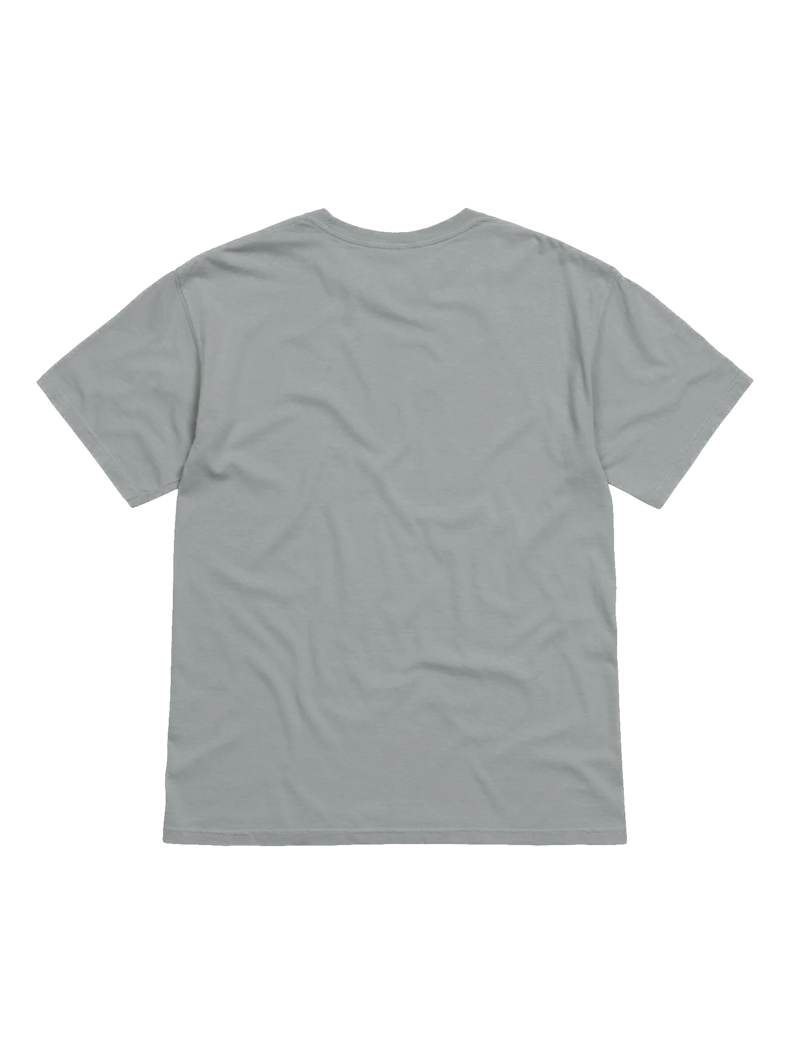 Garden Bliss Heavyweight Tee Granite product image (2)