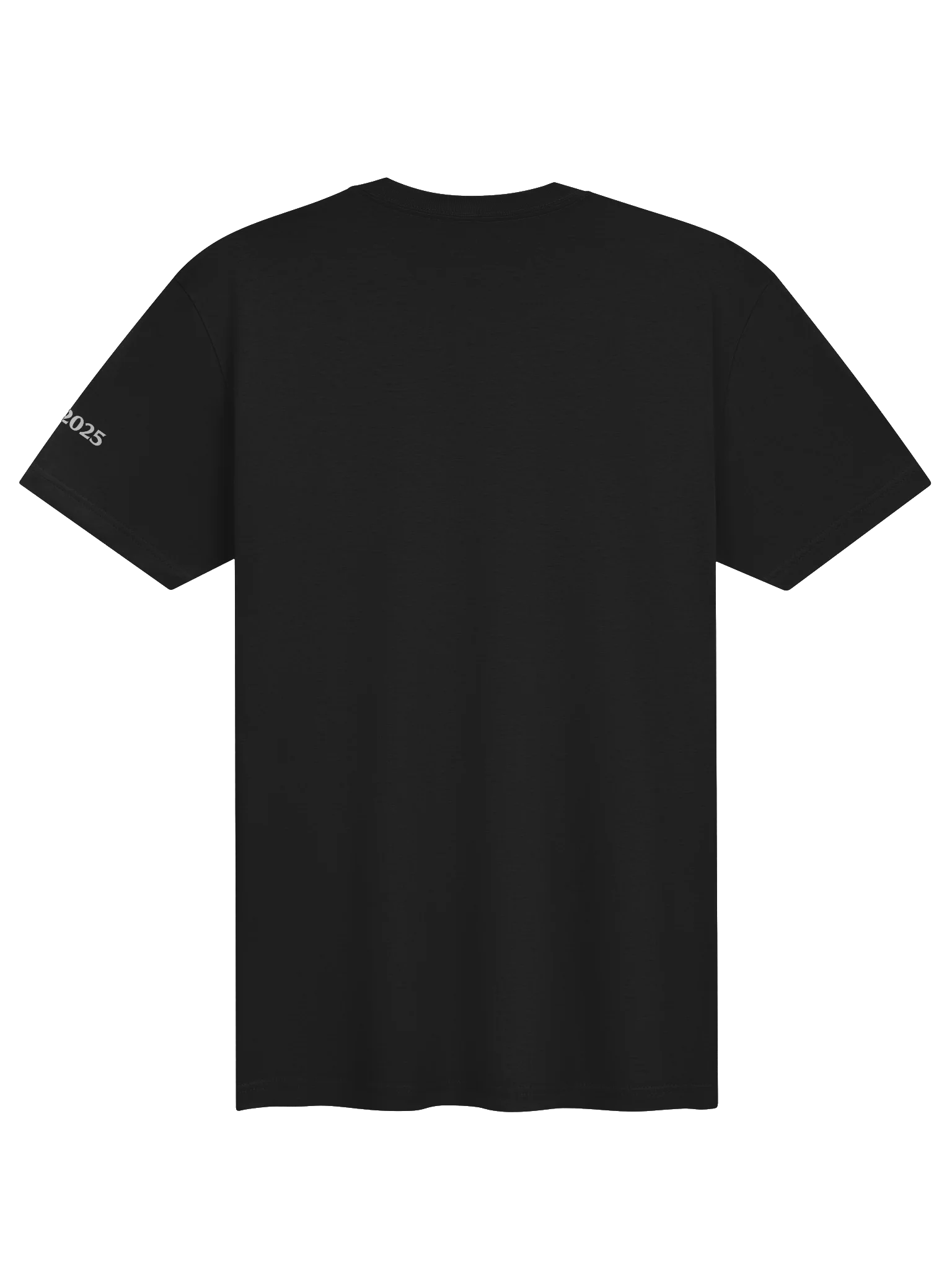 The ±2 Society Slim Fit Tee product image (2)