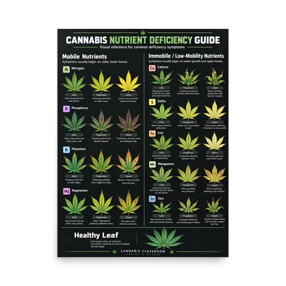 Deficiency Poster product image (1)