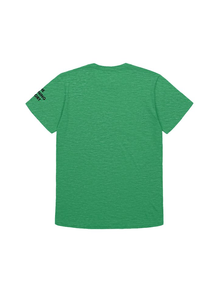 FreeDC Summer Protest Flag T Shirt product image (2)