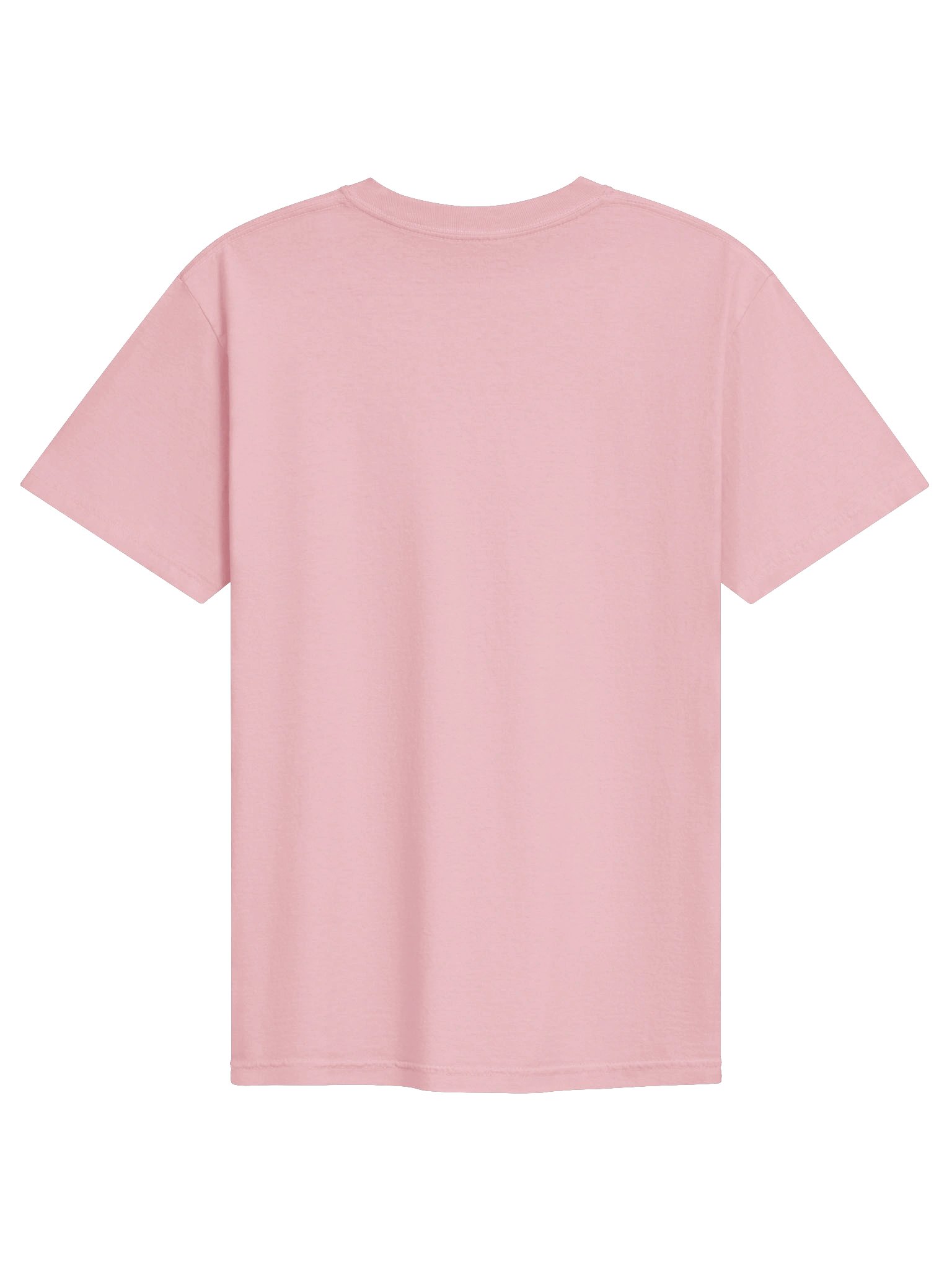 Bug Band Adult Unisex Embroidered Tee Left Chest PinkBug product image (2)