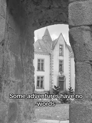 Bressuire Castle #bressuire #traveltok #fyp #bookishdestinations #france 