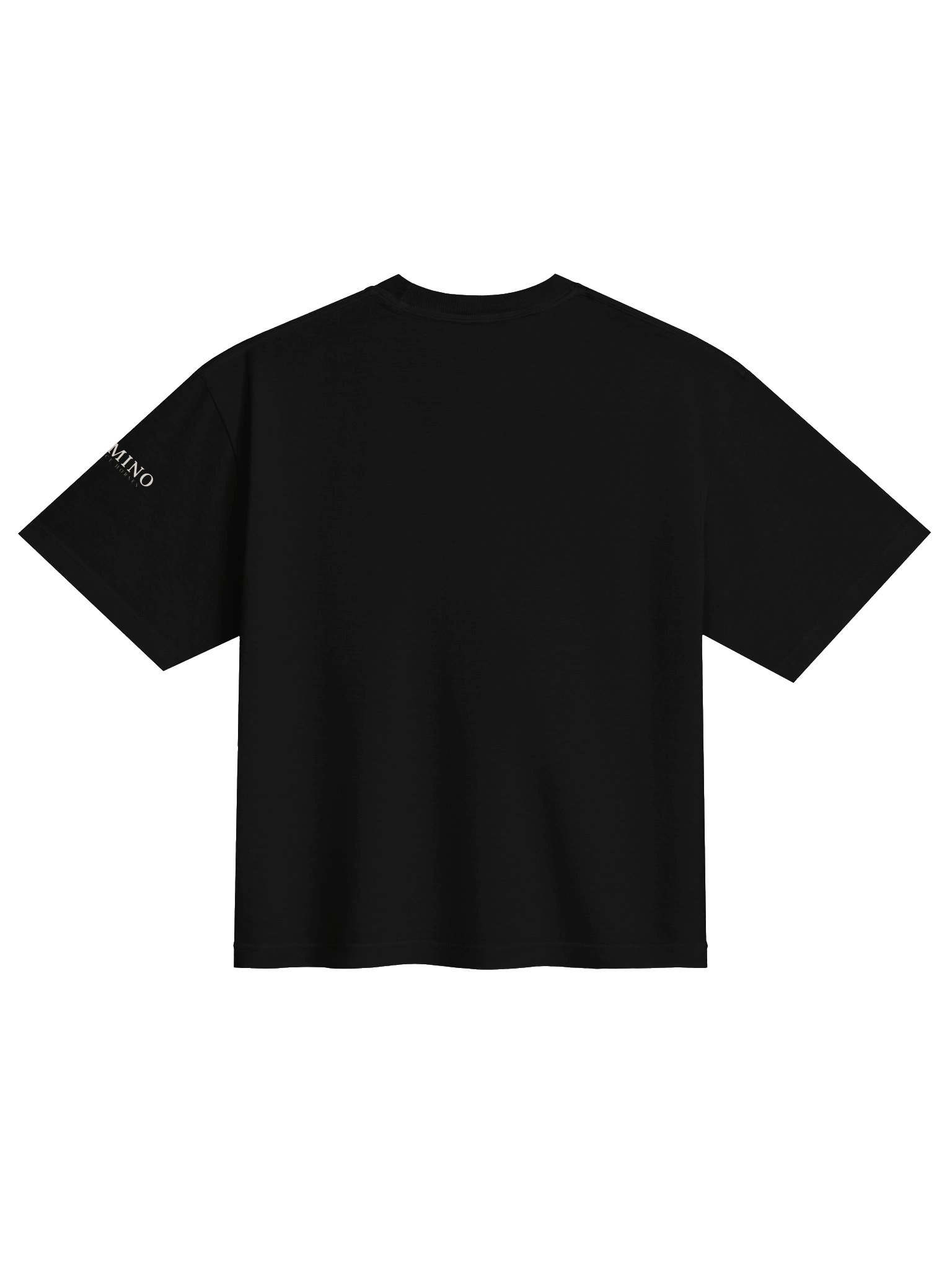 TPH Boxy Tee product image (4)