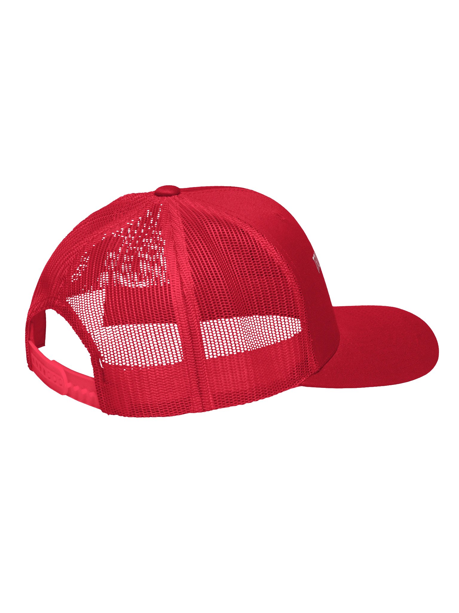 Bold Political Statement Trucker Hat product image (4)