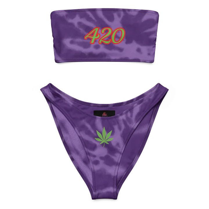 420 Bandeau Bikini product image (1)